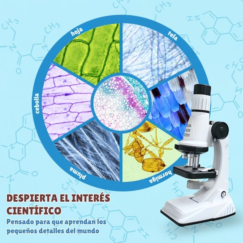 Microscopio de Iniciación - Con accesorios y aumento ajustable hasta x1200, despierta el interés científico