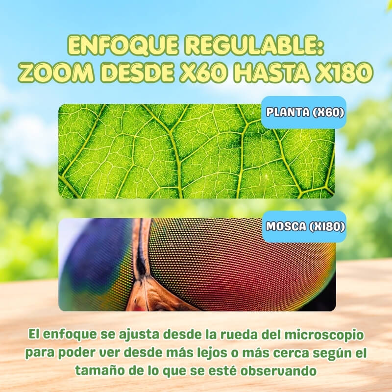 Microscopio Portátil con aumento ajustable hasta x180 - Despierta el interés científico