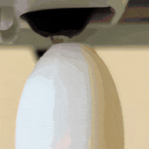 Impresora 3D para principiantes - Con 10m de PLA, tarjeta de memoria y diseños preinstalados